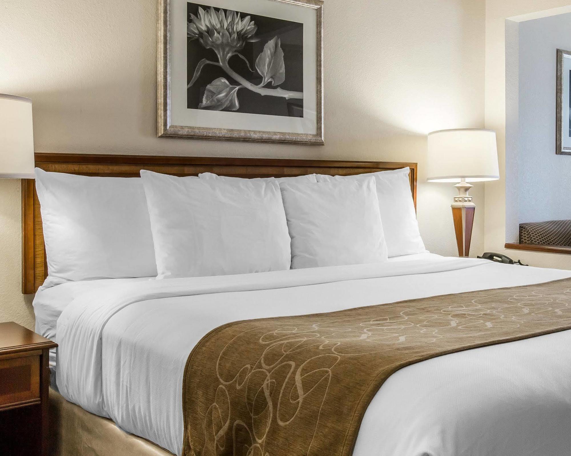 Home2 Suites By Hilton Atlanta Perimeter Center Dunwoody Buitenkant foto